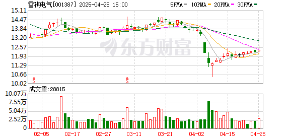 股票账户配资 雪祺电气：2024年净利润1.02亿元 拟10派1.2元
